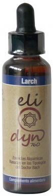 Celidyn Elidyn Larch 20Ml