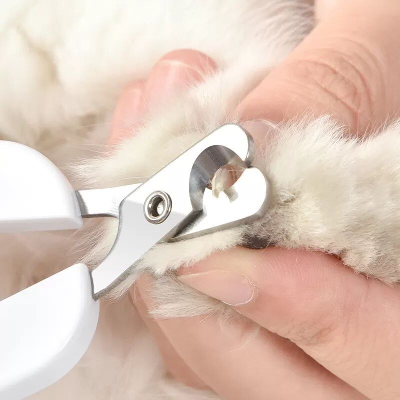 INF Neue Haustier-Nagelknipser für Katzen und Hunde