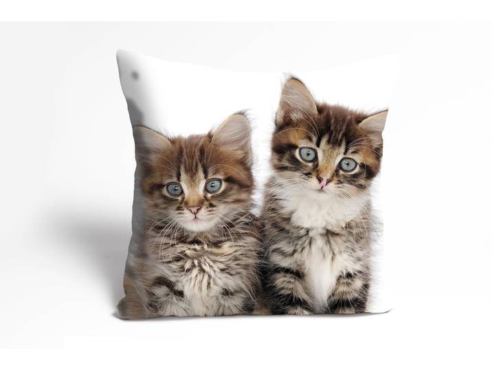 Dekokissen QUEENCE Patrick , braun (braun, bedruckt), B:40cm L:40cm, Polyester, Dekokissen_Sitzkissen_Kissenhüllen, Dekokissen, Kissenhülle,Katzen,Tiermotiv,Niedlich,Verspielt,Haustiere,Dekorativ
