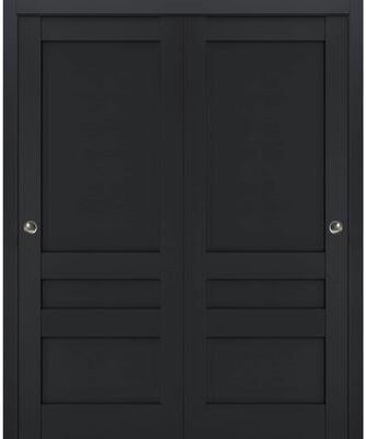 SartoDoors Veregio 7411   Bedroom Door Interior Door   Solid Wood   Hardware Set   36x80, Antracite Bathroom Door Pantry Door
