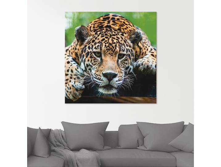 Glasbild ARTLAND Südamerikanischer Jaguar , braun (farbe bild(er): braun), B:30cm H:30cm, Bilder, Glasbild, in verschiedenen Grössen