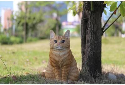 Hi-Line Gift Ltd. Orange Tabby Cat Sitting