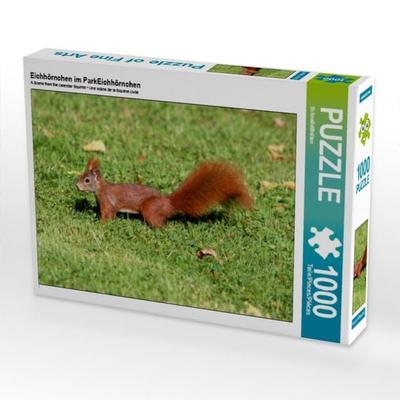 CALVENDO Puzzle Eichhörnchen im ParkEichhörnchen | 1000 Teile Lege-Größe 64x48cm Foto-Puzzle für glückliche Stunden