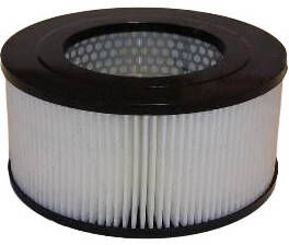 ASHIKA 20-02-223 Air filter