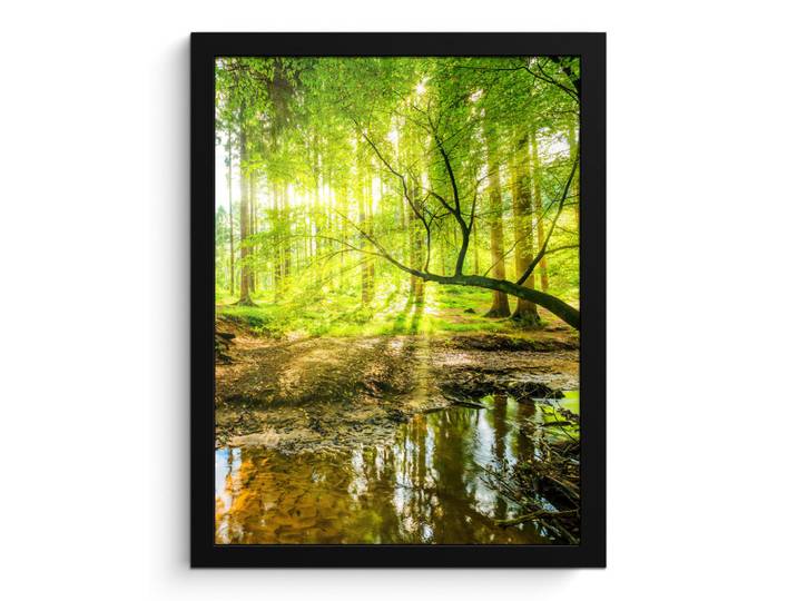 MuchoWow Poster MIT Rahmengerahmtes Bild - Wald - Landschaft - Wasser - Bäume - Sonne - Grün - Natur - 30x40 cm, Papier, Rechteckig, 30x40 cm, gerahmt, Bilder & Rahmen, Bilder