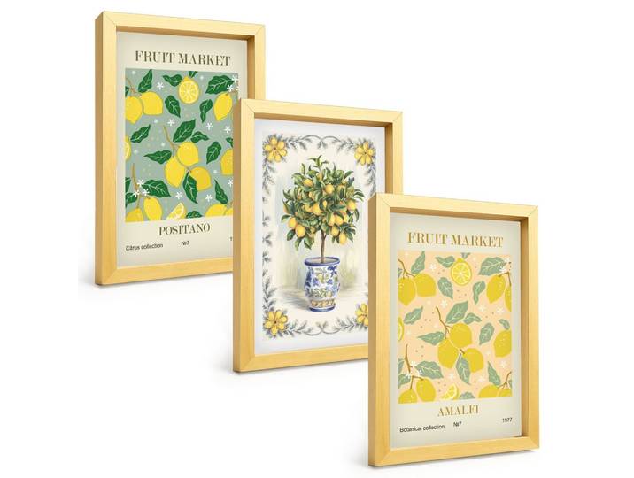 BILDER SET 3er Set - 20x30 cm Goldrahmen - Zitrusfrüchte aus Italien