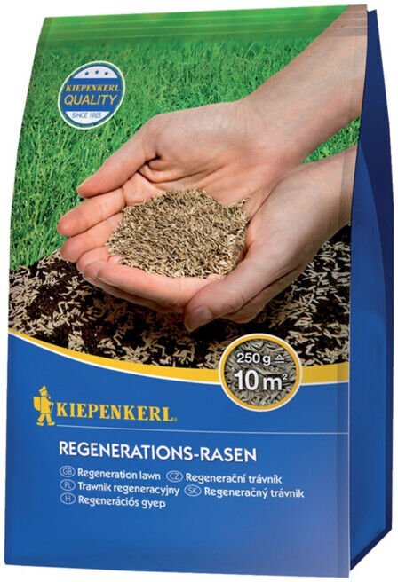 Kiepenkerl Gazon de régénération 250 ; NEBELUNG (651005)