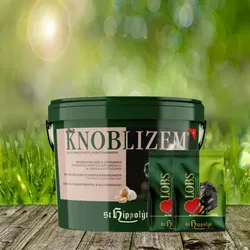 St. Hippolyt Knoblizem Mineral 10 kg + St. Hippolyt Lobs Belohnungswürfel 2 x 1 kg geschenkt