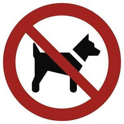 Schild Mitführen von Hunden verboten gemäß ASR A1.3 DIN7010 Alu 20cm wetterfest