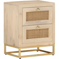 vidaXL Nachttisch 40x30x50 cm Massivholz Mango und Eisen