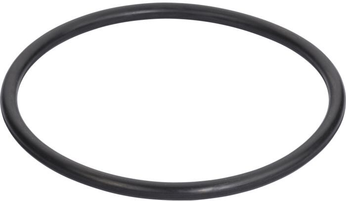 Grünbeck O-Ring 211,00 x 12,00-EPDM 70 TrinkW 87003320 zu GENO-Feinfilter FM (KW + WW)