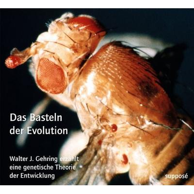 Das Basteln der Evolution - Walter Gehring,Klaus Sander, CD, 9783863850074