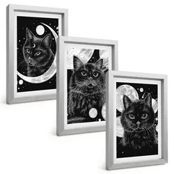 BILDER SET 3er Set - 20x30 cm Silberner Rahmen - Schwarze Katzen, Mond, Weltraum
