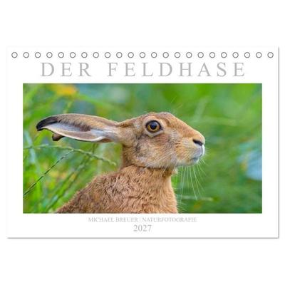 Der Feldhase (Tischkalender 2027 DIN A5 quer), CALVENDO Monatskalender