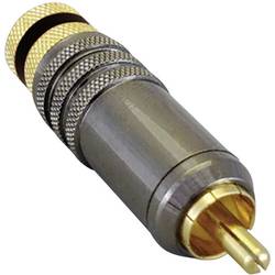 BKL Electronic 0101020 Cinch-Steckverbinder Stecker, gerade Polzahl: 2 Schwarz 1 St.