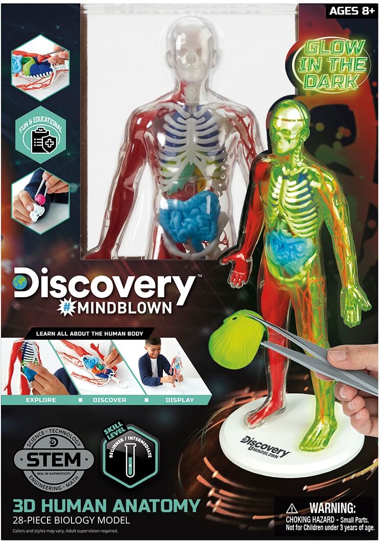 Discovery Juego educativo Kit de anatomía 28 piezas .