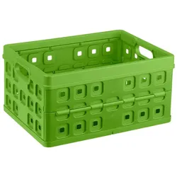 Sunware, Aufbewahrungsbox, Square Klappbox, Inhalt 32 oder 46 Liter, 30 kg Tragkraft, für Lebensmittel (32 l, 49 x 36 x 24.50 cm)