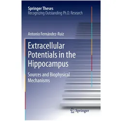 Extracellular Potentials in the Hippocampus, Fachbücher von Antonio Fernández Ruiz