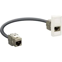 E+P Elektrik Anschlussblende Cat.6 WDN 6 LOSE