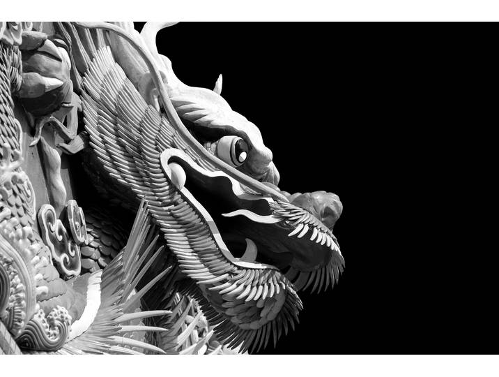 Fototapete PAPERMOON Chinesischer Drache Schwarz & Weiss , schwarz (schwarz, weiß), B:2m L:1,49m, Vlies, Tapeten, Fototapete