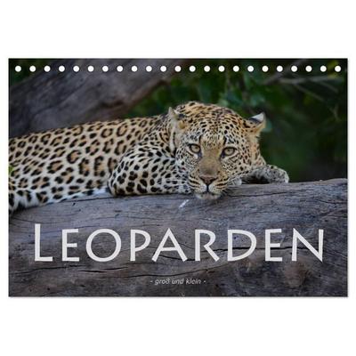 Leoparden - groß und klein (Tischkalender 2026 DIN A5 quer), CALVENDO Monatskalender