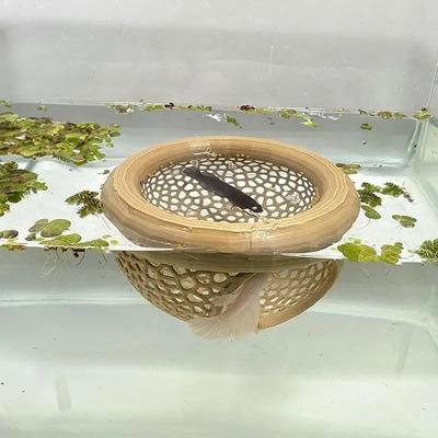 Uplift Essentials Aquarium Floating Cave And Feeding Ring 3 in 1 Shelter For Betta And Shrimp s beige