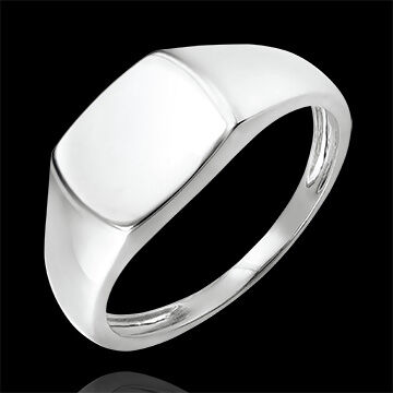 Edenly Ring DÃ¤mmerschein - Siegelring Ã„neas - 18 Karat WeiÃŸgold