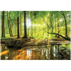 FOTOTAPETE Kinderzimmer Sonne 150x105