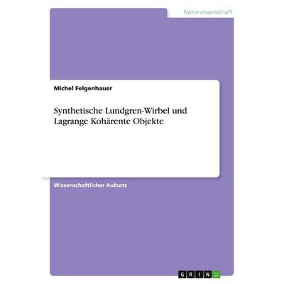 Synthetische Lundgren-Wirbel und Lagrange Kohärente Objekte, Taschenbuch von Michel Felgenhauer, GRIN, 978-3-346-27685-8
