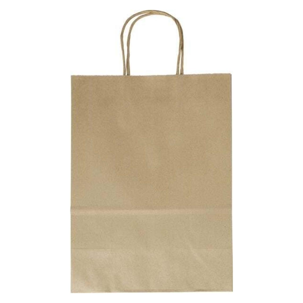 Folia Tragetaschen (20x) (22410)