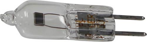Kern OBB-A1377 Mikroskop-Beleuchtung 100 x Passend für Marke (Mikroskope) Kern