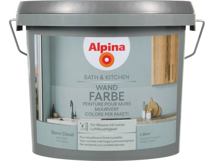 Alpina Wandfarbe Bath & Kitchen Storm Cloud Grau 2.5 l Matt