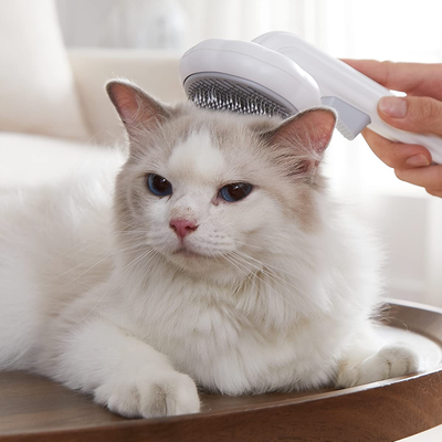 PetsAreLife Pumpkin Pet Comb White