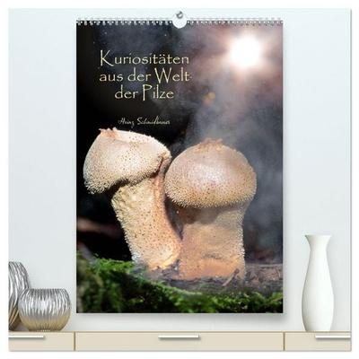 Kuriositäten aus der Welt der Pilze (hochwertiger Premium Wandkalender 2027 DIN A2 hoch), Kunstdruck in Hochglanz