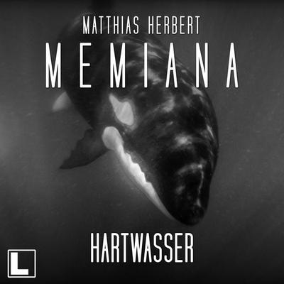 Hartwasser - Matthias Herbert, Audio, 4260158976138