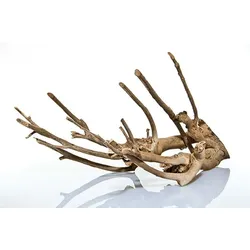 aquadeco Naturholz Talawa Holz Aquariendekoration