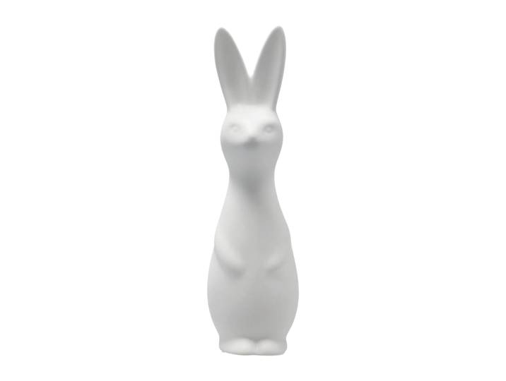 DBKD Swedish rabbit large White