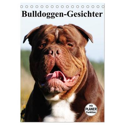 Bulldoggen-Gesichter (Tischkalender 2027 DIN A5 hoch), CALVENDO Monatskalender