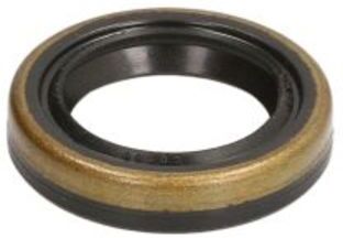 Reparatursatz, Common-Rail Pumpe ENGITECH ENT210012