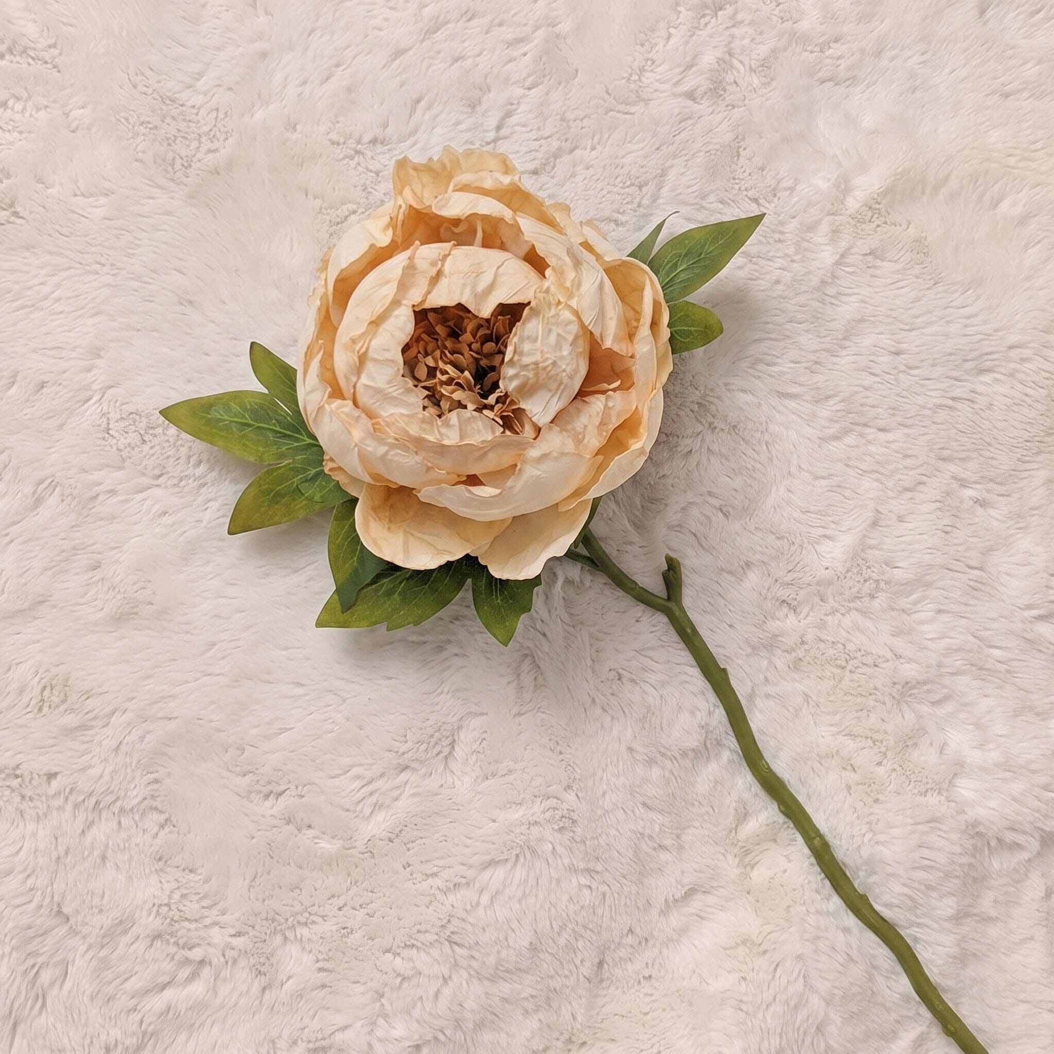 Faux Oyster Dried Touch Closed Peony Single Stem Floral