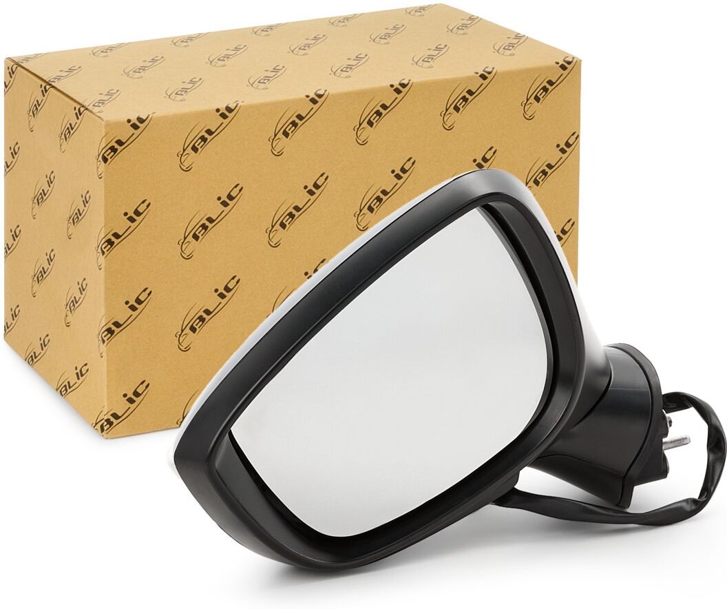BLIC 5402-14-0770316P Wing mirror