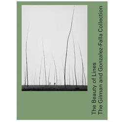 The Beauty of Lines, Fachbücher von Tatyana Franck, Pauline Martin, Celso Gonzalez-Falla, Sondra Gilman