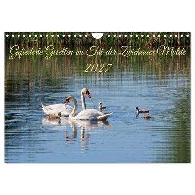 Gefiederte Gesellen im Tal der Zwickauer Mulde (Wandkalender 2027 DIN A4 quer), CALVENDO Monatskalender
