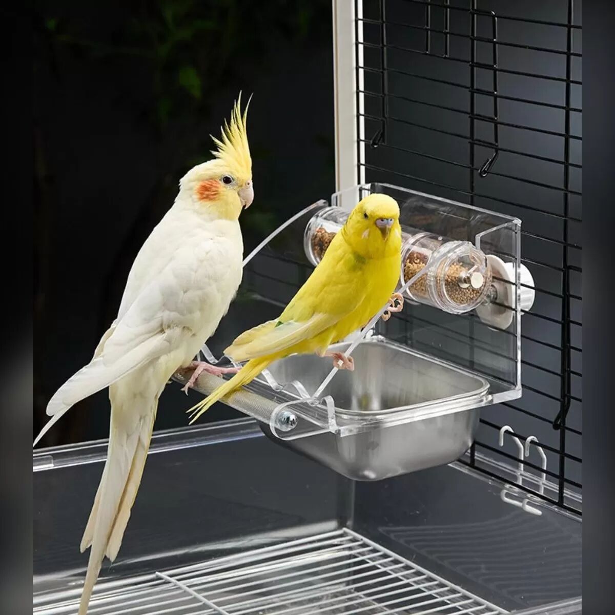 INF Anti-Spill Vogel Futtersuche Futterautomat - Interaktiver Hängender Papageien Futterspender