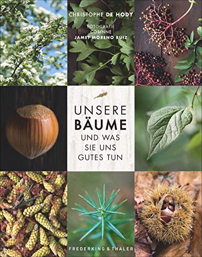 Christophe de Hody - Unsere Bäume und was sie uns Gutes tun. Alles über Bestimmung, Sammlung und Nutzung der 20 häufigsten Bäume in unseren Wäldern. Mit köstlichen Rezepten und Infos Heilkraft der Bäume. - Preis vom 16.10.2026 11:41:07 h