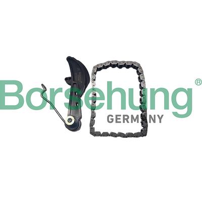 BORSEHUNG Kettensatz, Ölpumpenantrieb B10251 für VW