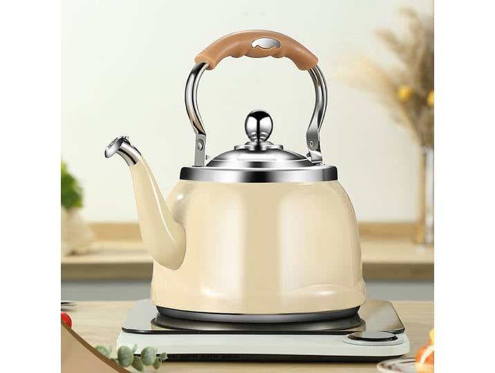 Bouilloire en acier inoxydable 304, bouilloire universelle pour cuisinière à gaz et à induction, pot à eau à grande capacité, 5 L.