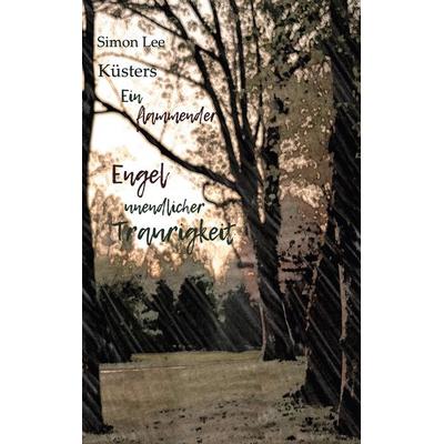 Ein flammender Engel unendlicher Traurigkeit, Taschenbuch von Simon Lee Küsters, BoD – Books on Demand, 978-3-7543-2062-4