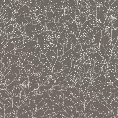 Clarissa Hulse Gypsophila Mocha and Silver Wallpaper