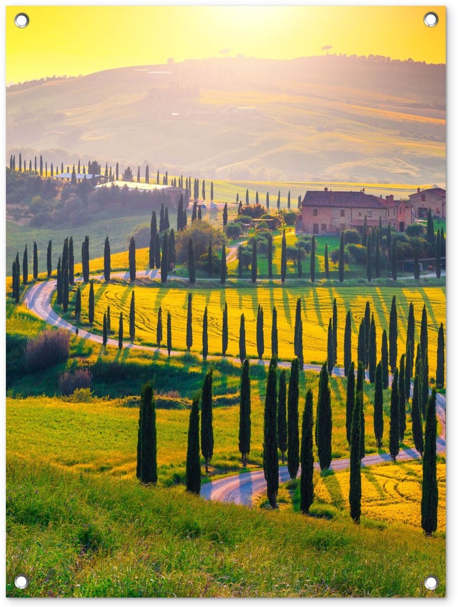 Tuindecoratie Tuinposter Landschap met Gras, Zon en Heuvel - B/D/H: 80 x 60 cm